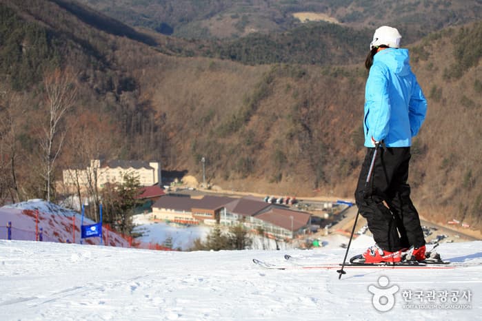 O2度假村滑雪场(오투리조트 스키장)