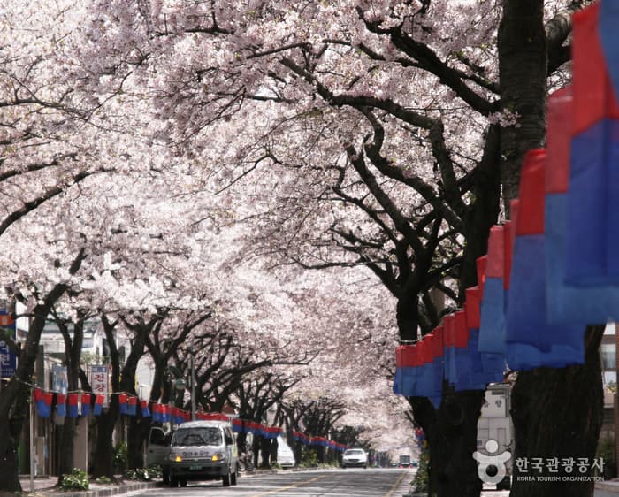 济州西沙罗文化街庆典(제주 서사라문화거리축제)