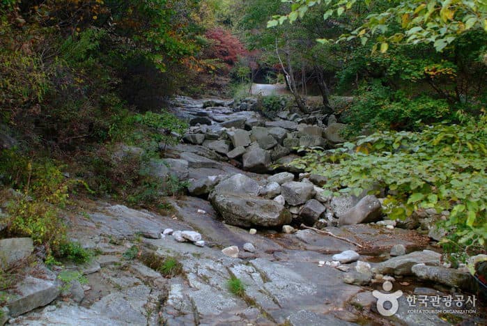 천은사계곡(원주)_00