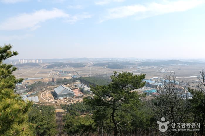 경기_화성_팔도강산 꽃잔치 속에서 즐기는 봄소풍, 화성 우리꽃식물원22