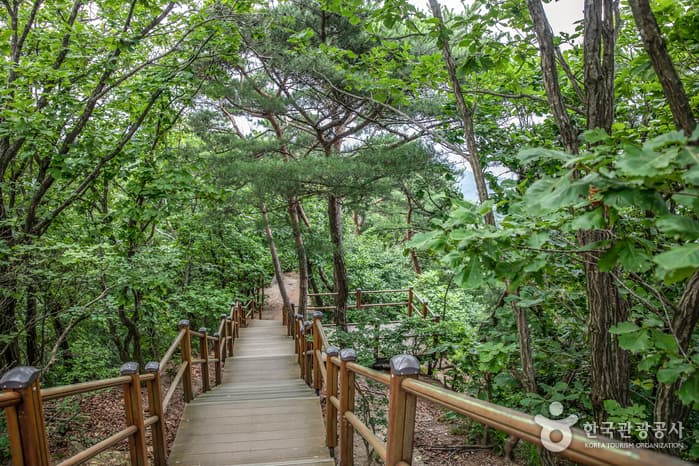 경기_수원_광교산(수원)10