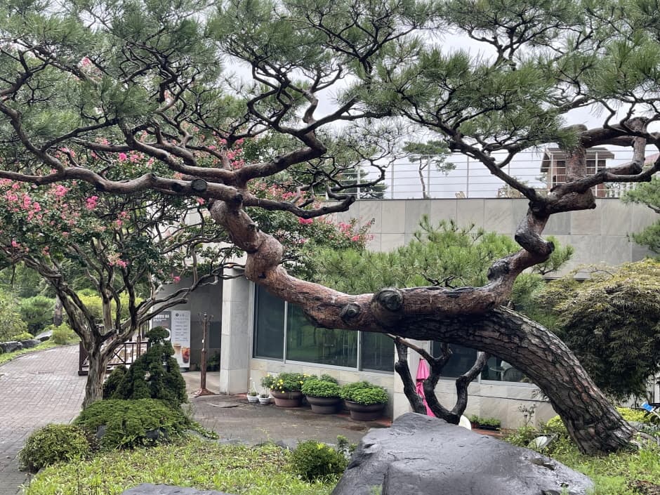 그림같은 수목원 (5)