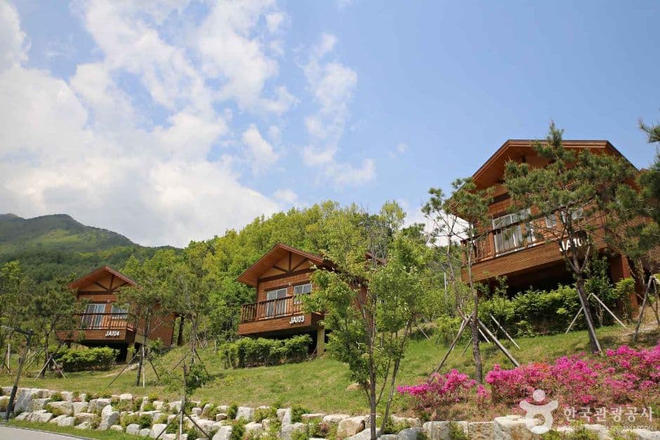 영주_국립산림치유원 (7)
