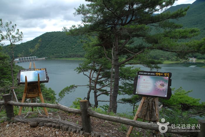 산막이옛길