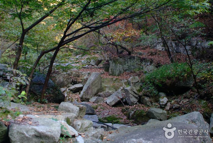 천은사계곡(원주)_03