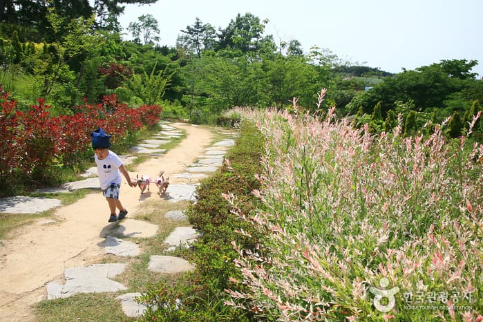 충남_태안_반려견과 함께 떠나는 태안 여행, 태안의 애견펜션21