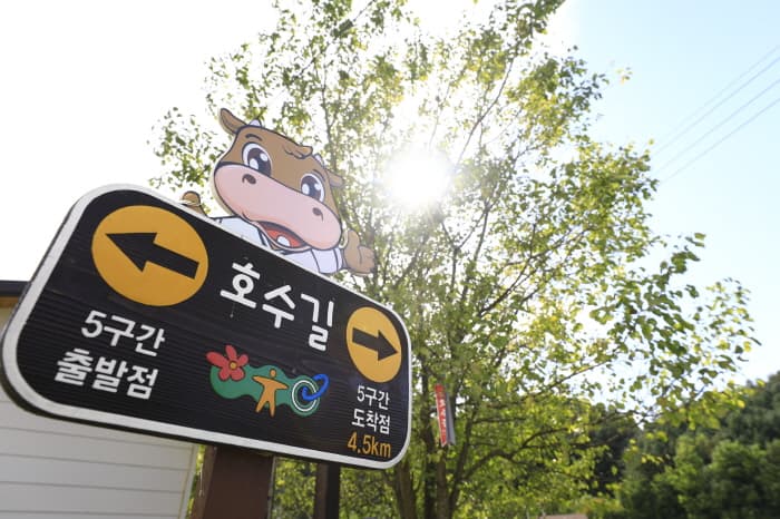 횡성_가을_횡성호수길 04
