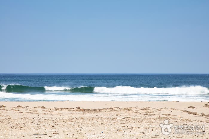 오산해수욕장 6
