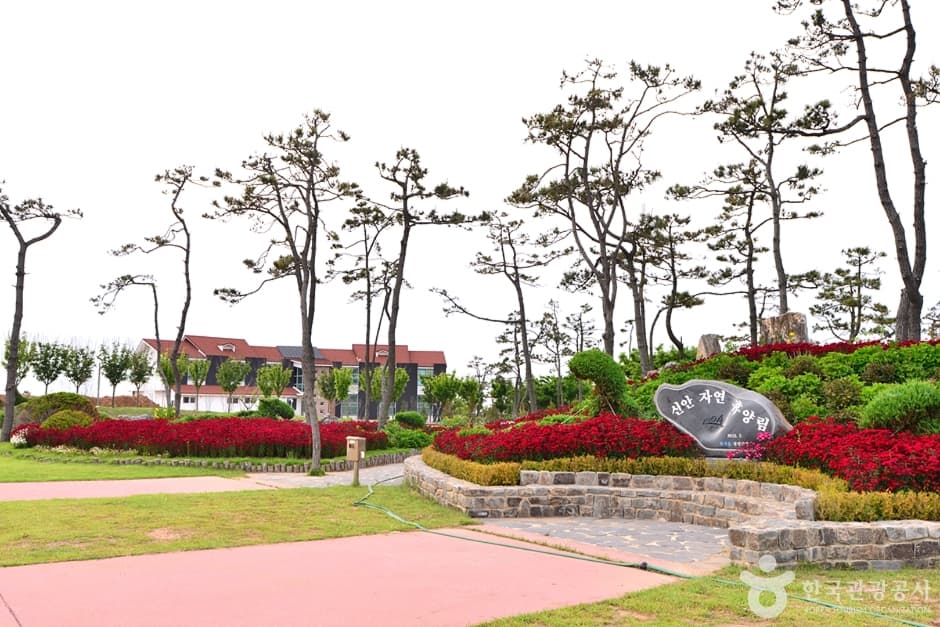 전남_신안_1004 뮤지엄파크 (14)