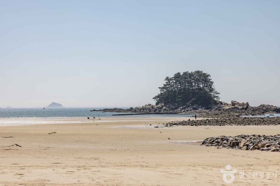 학암포해수욕장 (9)