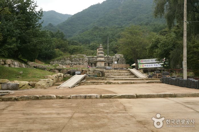 숲을 갖기에 충분한 시간 만수계곡 자연관찰