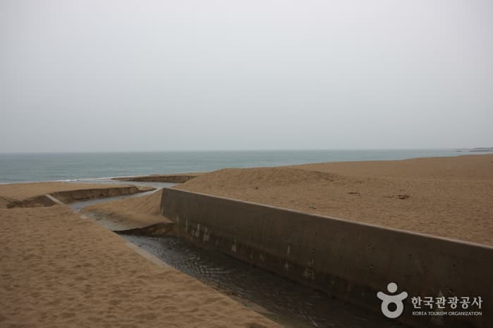장사해수욕장_04