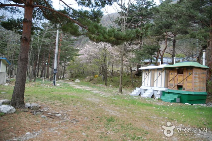 강원도_강릉시_부연동 마을관리휴양지06