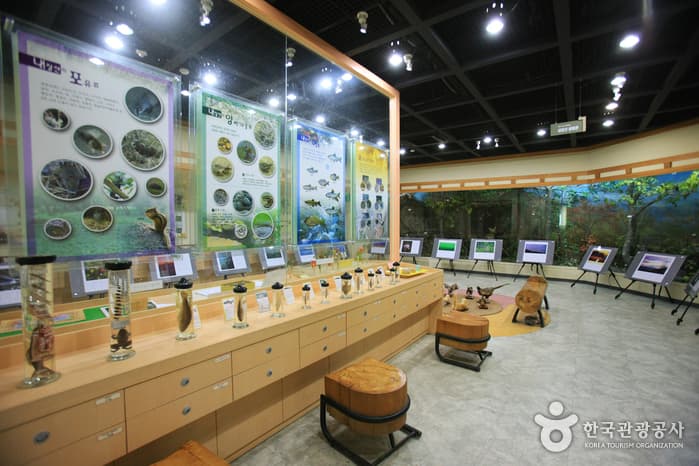 전라북도_정읍시_내장산 탐방안내소_015