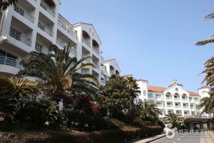 제주 제주시_대명리조트 제주_전경_5