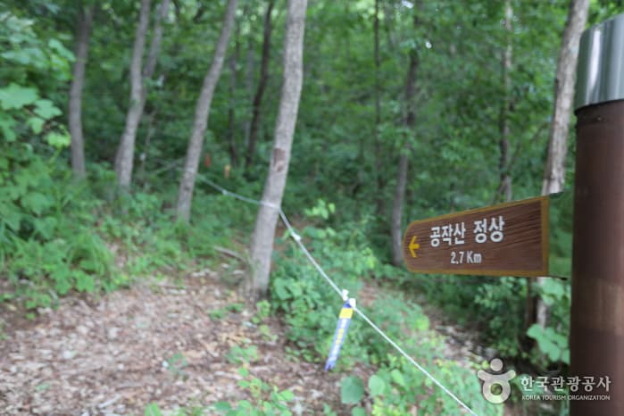 강원_홍천_공작산05