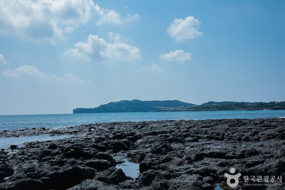 사계해변(18)