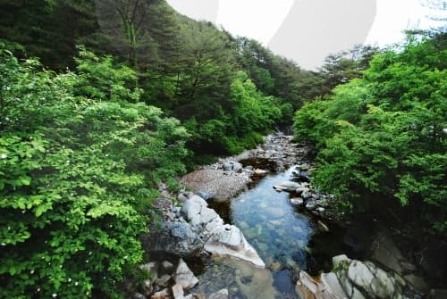가리왕산자연휴양림_11