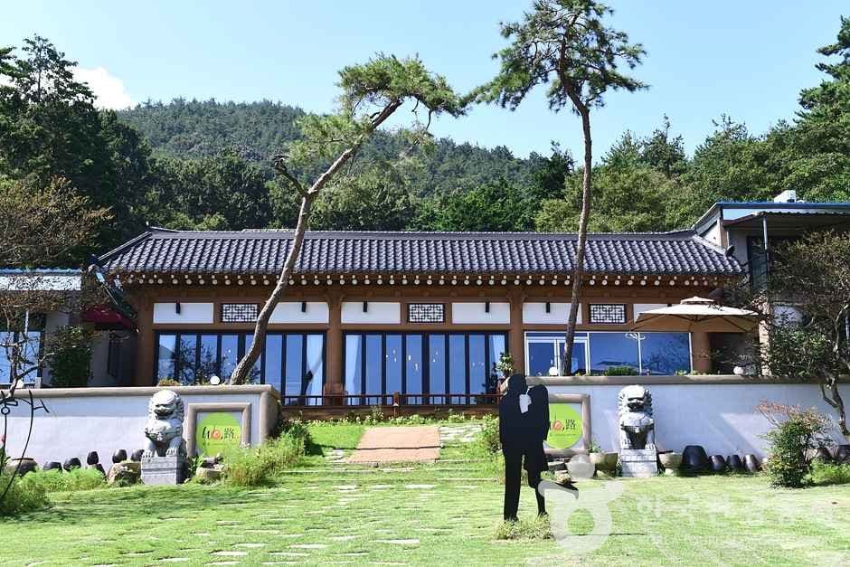 Café Wiro (카페위로)