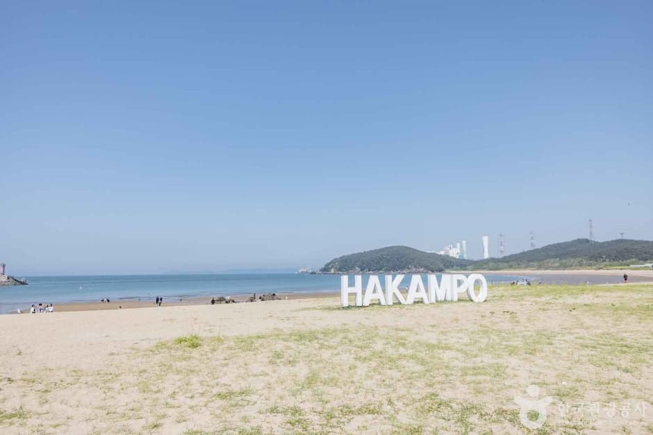 학암포해수욕장 (11)