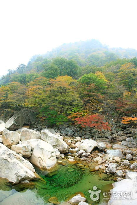 설악산국립공원_비선대
