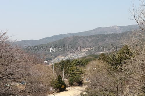 金井山(금정산)