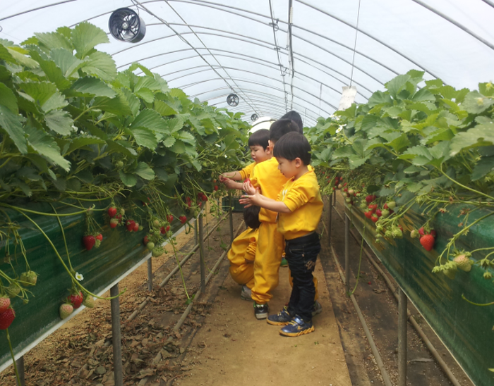 论山草莓叔叔农场(논산 딸기삼촌농장)