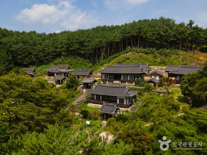 군자마을 6