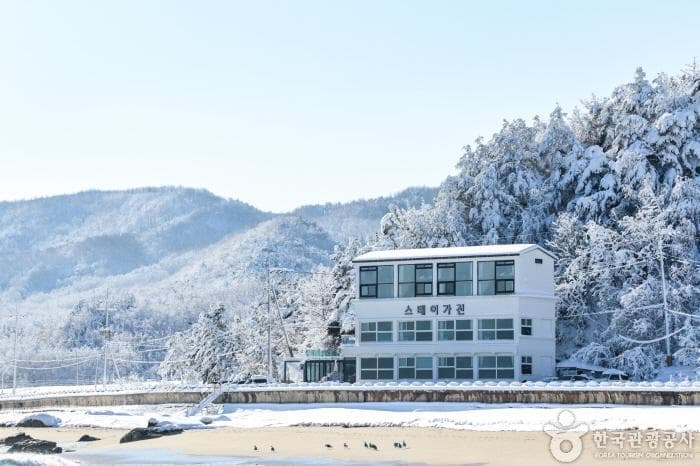 Stay Gajin（스테이가진）