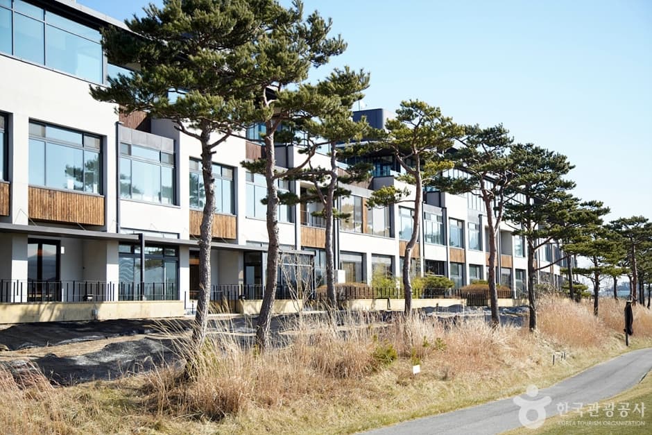 메이플비치 골프&리조트