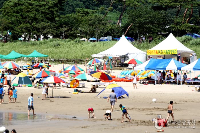 모항갯벌해수욕장_28