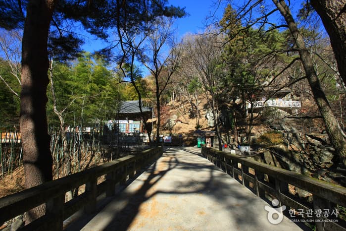 홍룡사_004