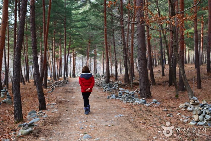 강원_강릉_산골 폐교의 소박한 변신, 강릉 대기리마을 겨울잔치08