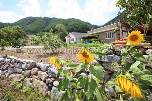 Samcheok Deokpunggyegok Valley Village (삼척 덕풍계곡마을)