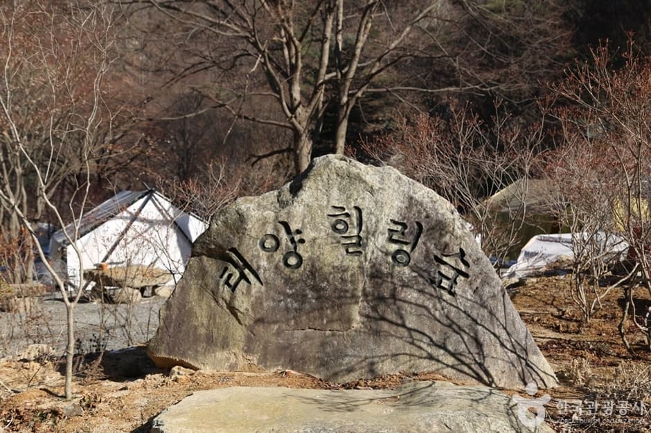 태양힐링숲