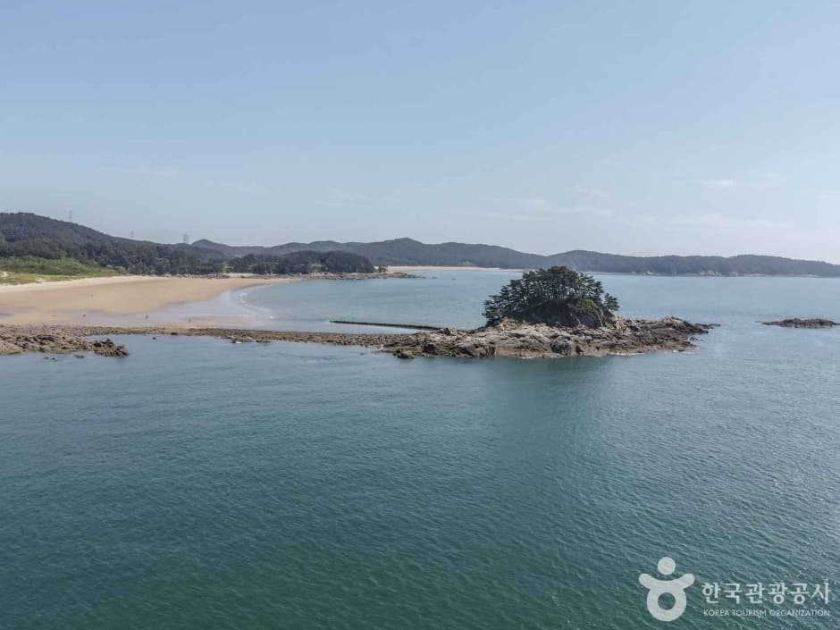 학암포해수욕장 (14)
