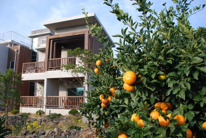 Jeju Eco Suites [Korea Quality] / 제주에코스위츠 [한국관광 품질인증]