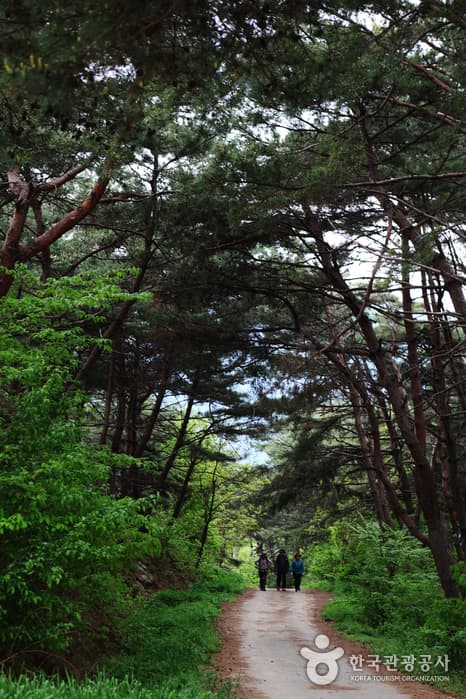 전북_남원_지리산둘레길_인월~금계49