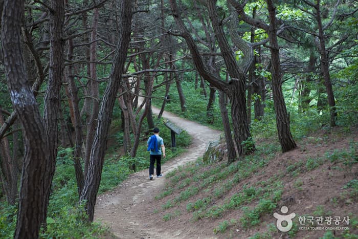 전북_정읍_사랑을 가슴에 담아 걷는 정읍사 오솔길 01