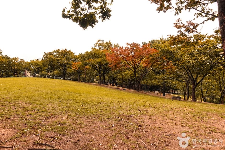 신암공원
