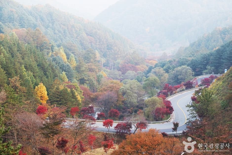 지리산 가는길 (4)