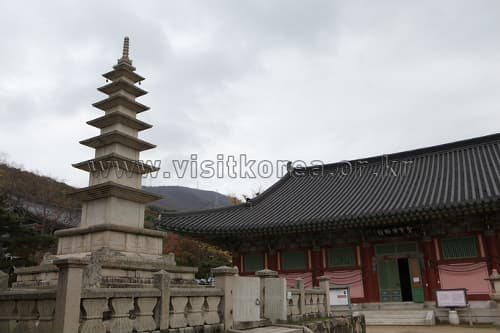 부산 금정산에서 마음을 비우다