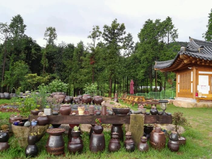 한국관광품질인증_해마루힐링숲_02