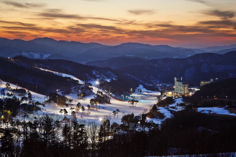 Oak Valley Snow Park (오크밸리 스키장)