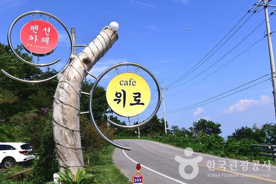 전남_보성_카페 위로 (7)