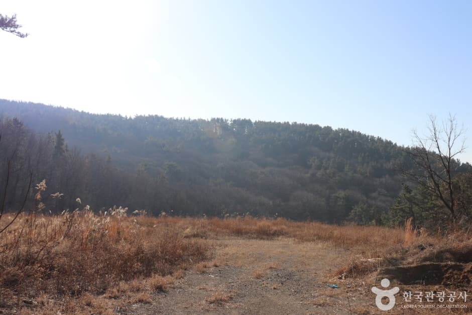용골산