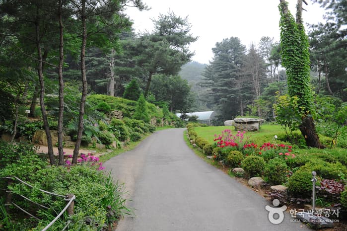 장흥에서 즐기는 체험놀이 코스