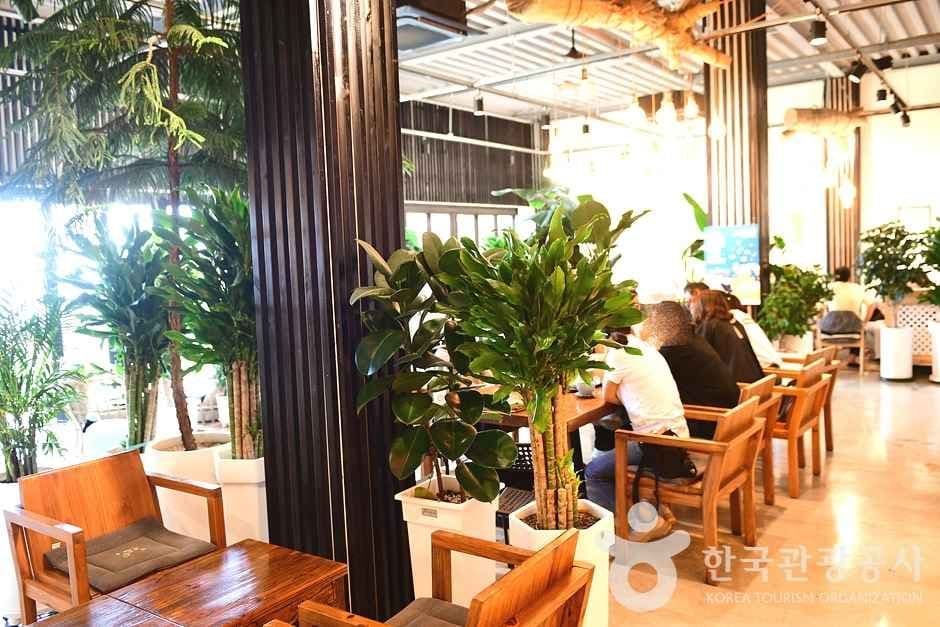 전남_보성_카페 위로 (8)