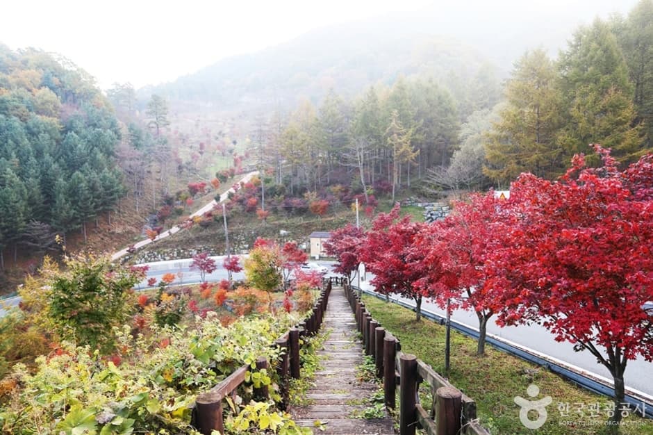 지리산 가는길 (9)