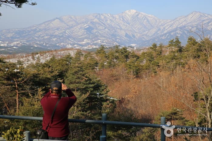 강원_양양_낙산사15